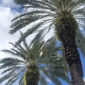 Meet your Posher, Magdalena